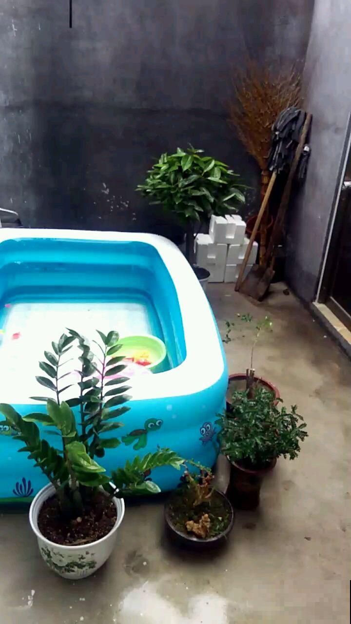 养花浇水有讲究，几种外面舀的水，正是花最爱喝的！