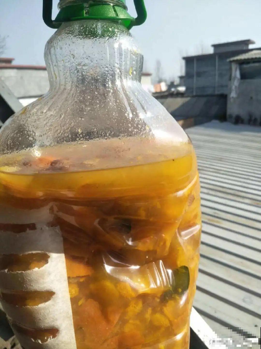给花喷点杀菌水，虫子全杀死，杀菌消毒叶子绿！