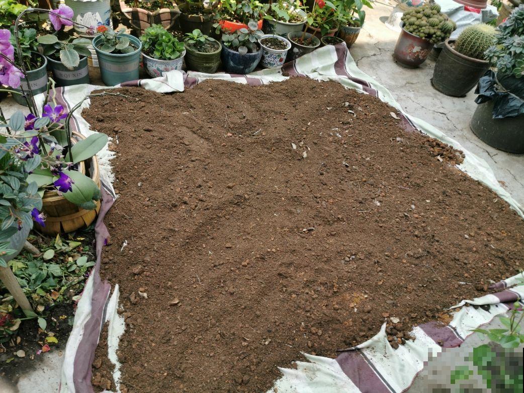 土里掺点它，碱性变酸性，花呼呼长疯了