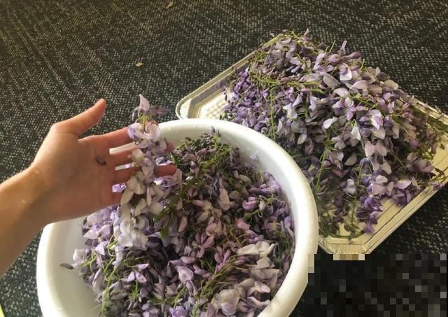 玉兰花真好吃，掐一把炒鸡蛋，竟然满嘴鸡肉味