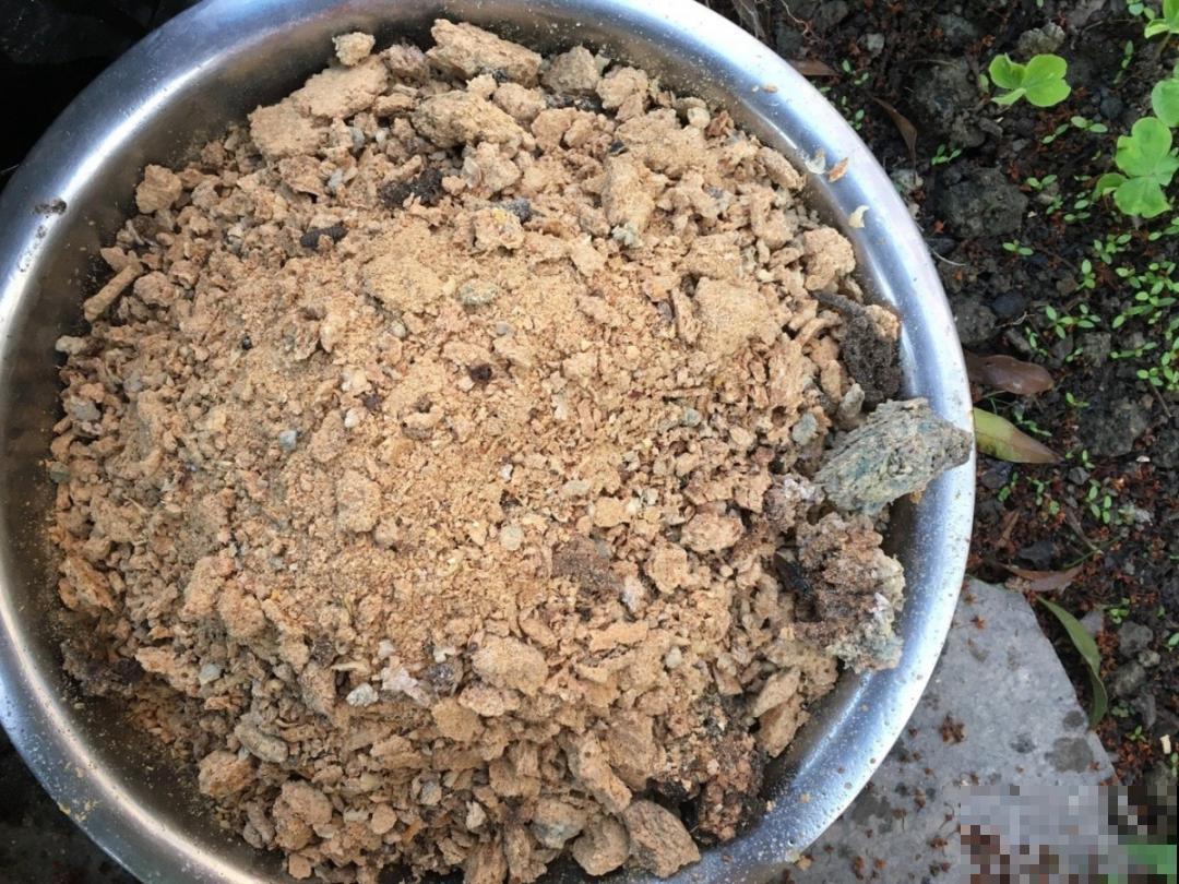 20种自制营养土，肥的流油，不用花钱买！
