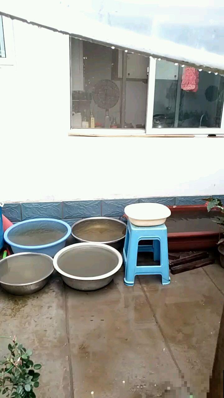 养花浇水有讲究，几种外面舀的水，正是花最爱喝的！