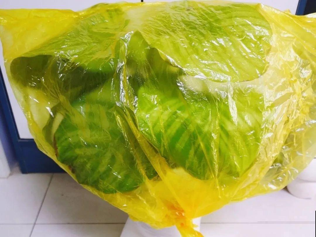 6种花一天不浇水，叶子就耷拉，缺水3天就死翘！