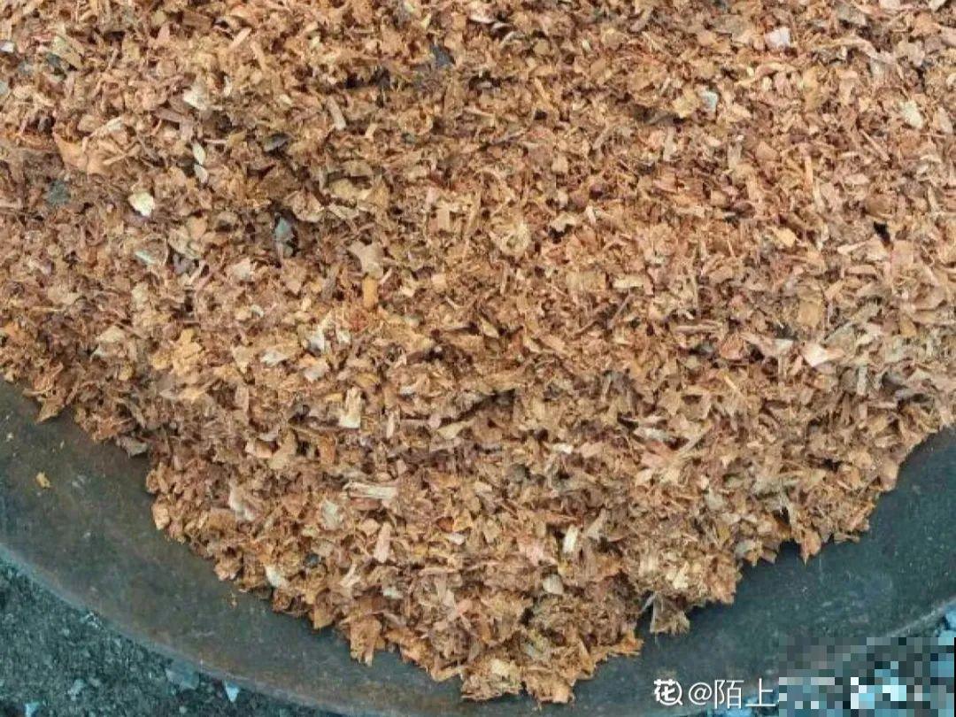 20种自制营养土，肥的流油，不用花钱买！