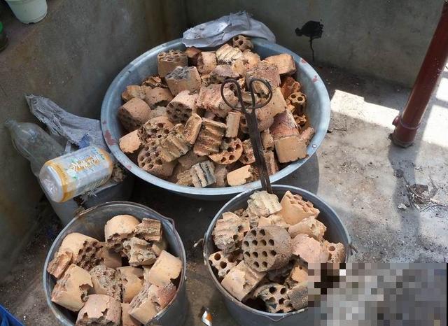路边捡点蜂窝煤渣，碾碎拌土里，多肉呼呼长成胖墩子！