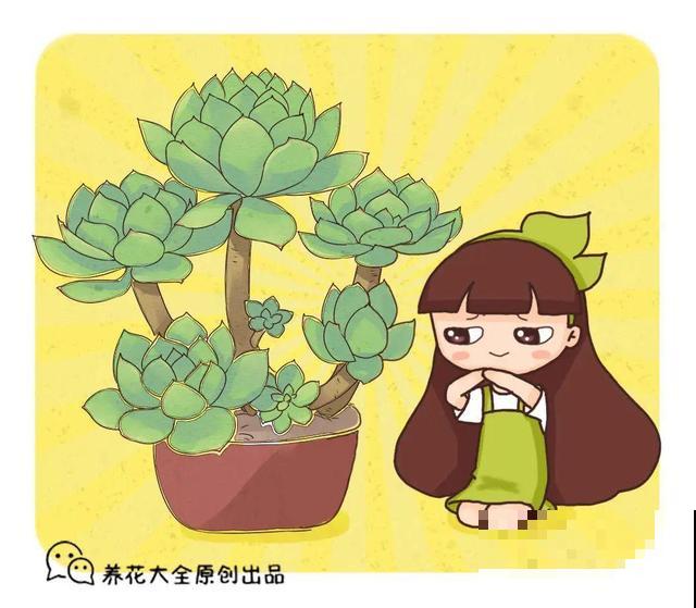 6种花能养成巨无霸，摆在家门口，路过的都称奇！