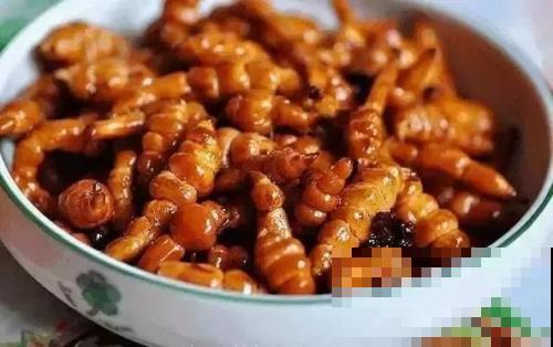 饭店端上一碟凉菜，模样像海螺，其实在家也能种出来！
