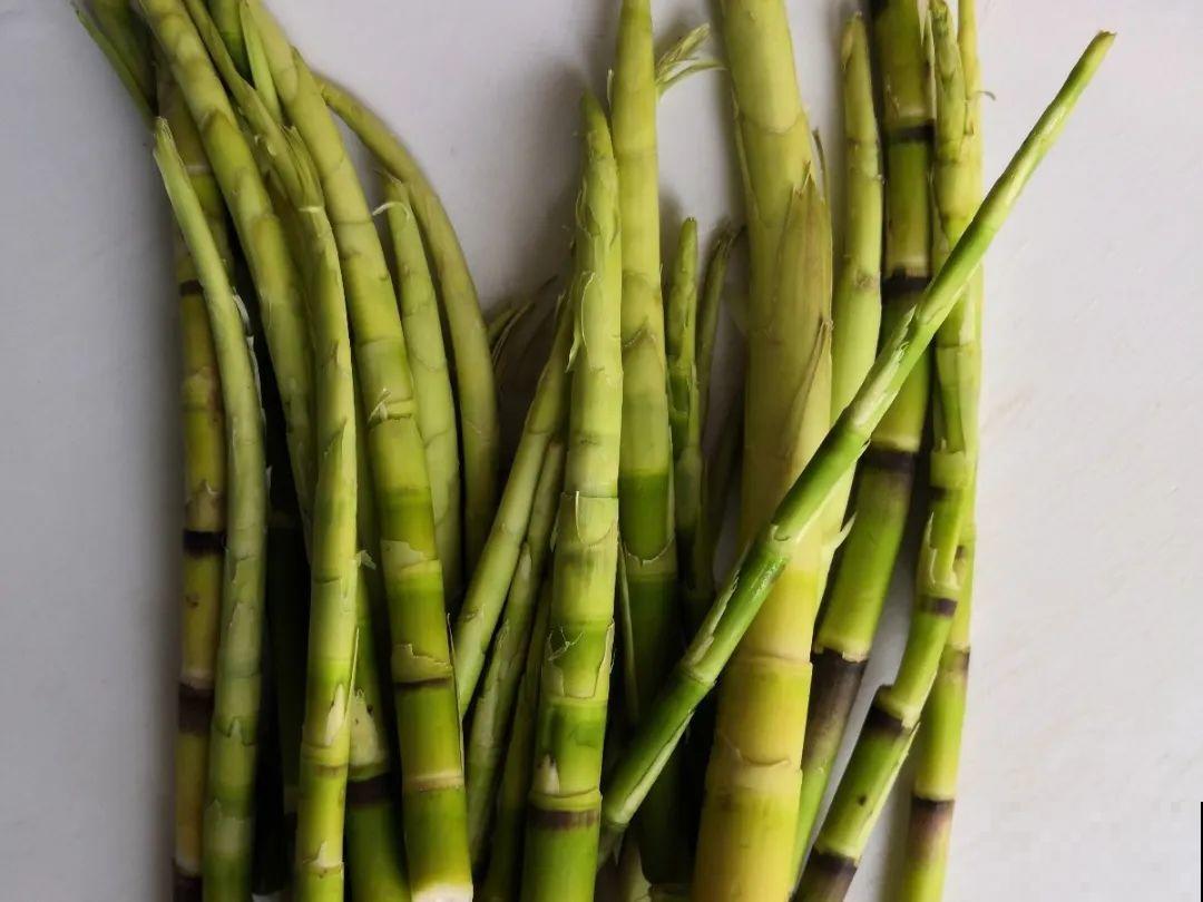 66种野菜辨别图，再不挖点尝尝，下个月就老了！