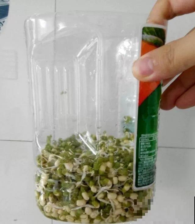 1个塑料瓶，居然有8种养花方法，省钱又好用！