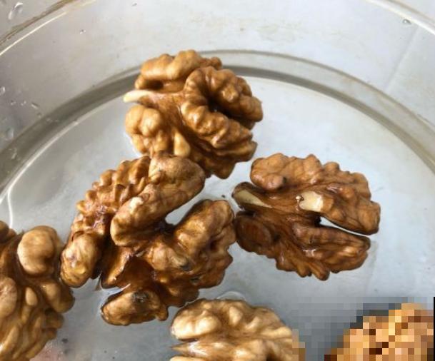 他把核桃丢水里，7天出芽，长成一棵小树苗！