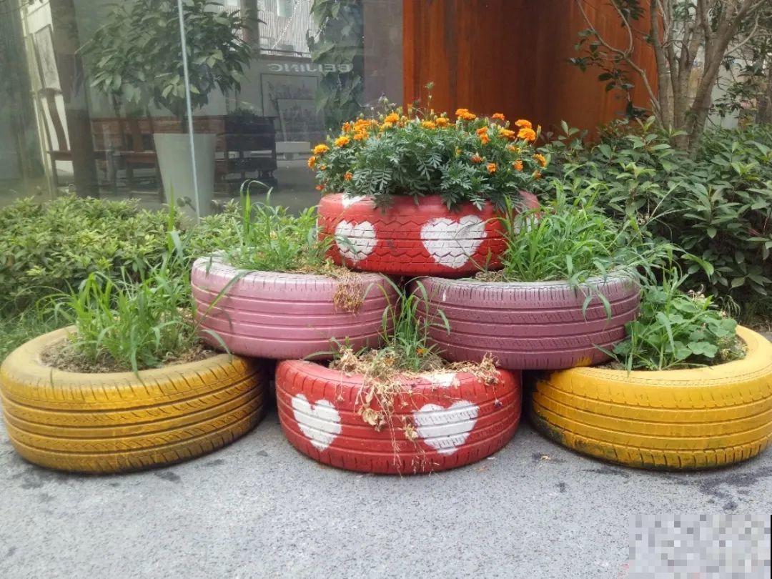 养花从不买花盆，都是这些东西做的！