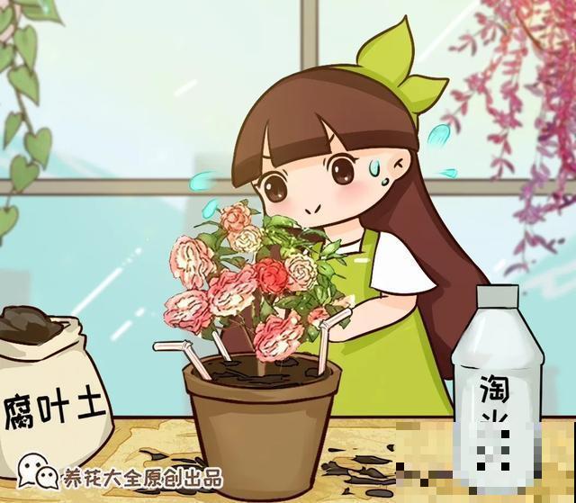 春天给花埋点它，就不用换盆了，保证土肥得流油！