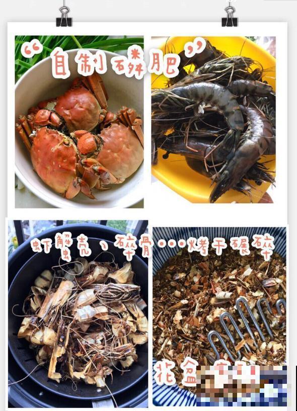 自制氮磷钾肥，花长得枝繁叶茂，买肥钱都省了！