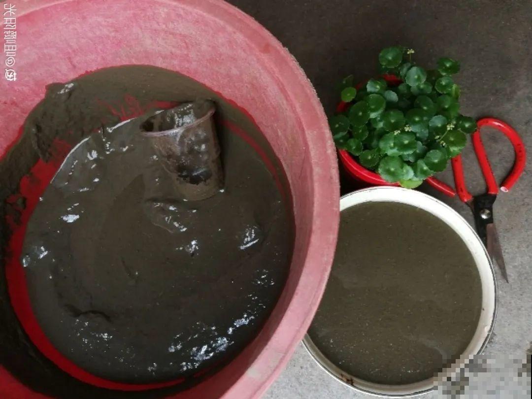 20种自制营养土，肥的流油，不用花钱买！