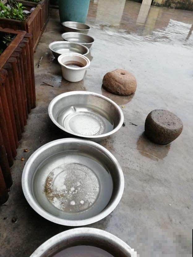 养花浇水有讲究，几种外面舀的水，正是花最爱喝的！