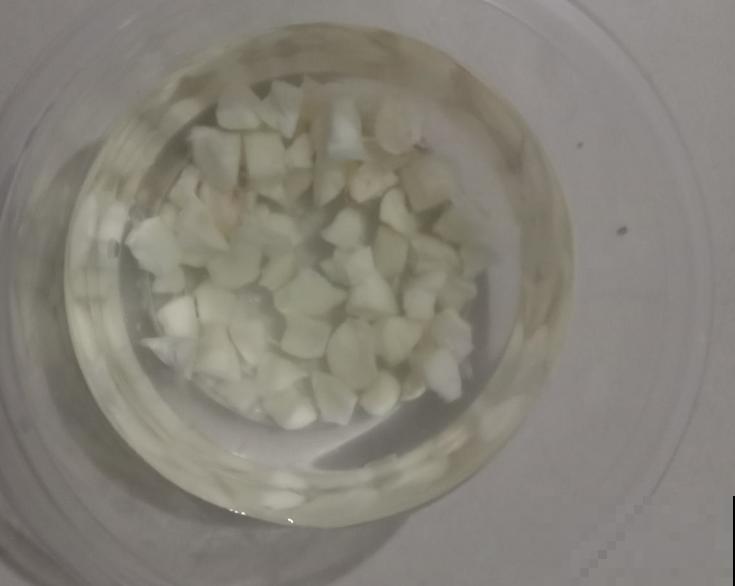 老花农透露的5个小偏方，养啥花都旺，叶子嗖嗖长！