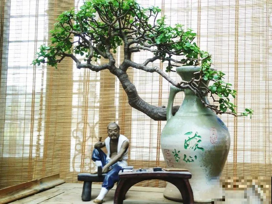 养花从不买花盆，都是这些东西做的！