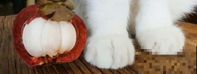 6种植物不按套路生长？你吃的水果，就是这么长出来的！