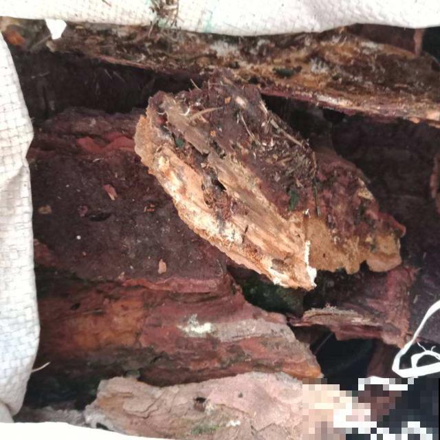 树皮作用多，除了做成植料养花，这些功能你知道吗？