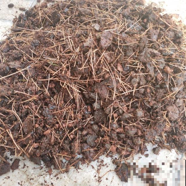 树皮作用多，除了做成植料养花，这些功能你知道吗？