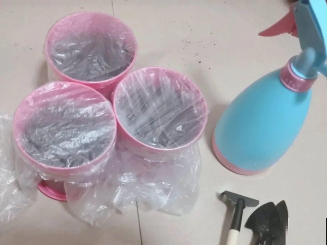 8种花不用扦插，开完花等1个月，一盆能生几十盆！