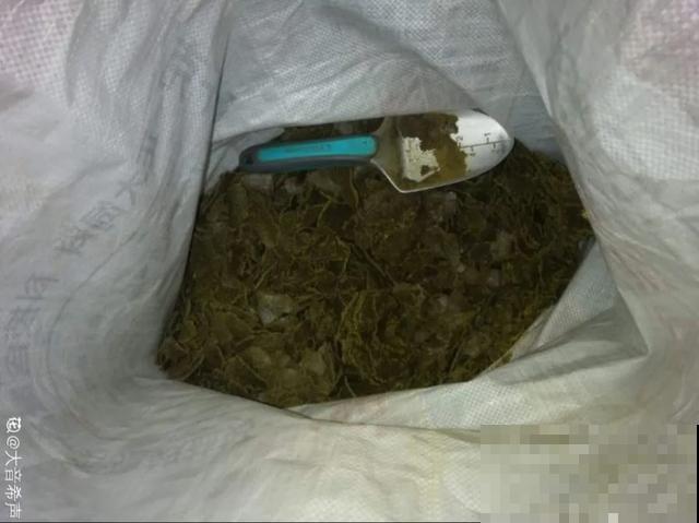 春天给花埋点它，就不用换盆了，保证土肥得流油！