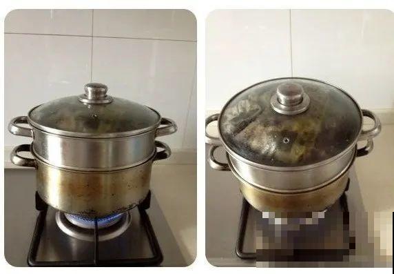20种自制营养土，肥的流油，不用花钱买！