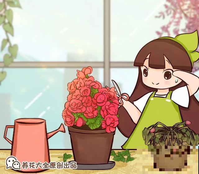 8种超难养的花，买一盆死一盆，真伤心！