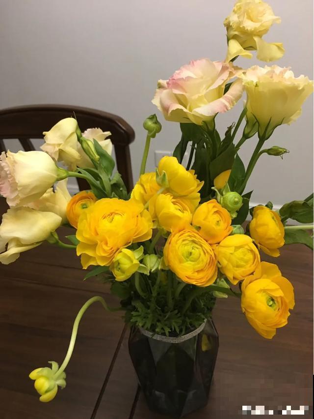 阳春三月，出门踏青，原来有这么多漂亮花！