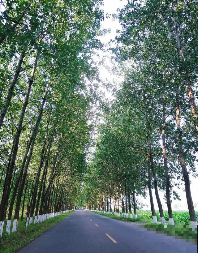 五一城市太拥挤,还是回老家,过快活日子! 五一城市太拥挤,还是回老家,过快活日子!