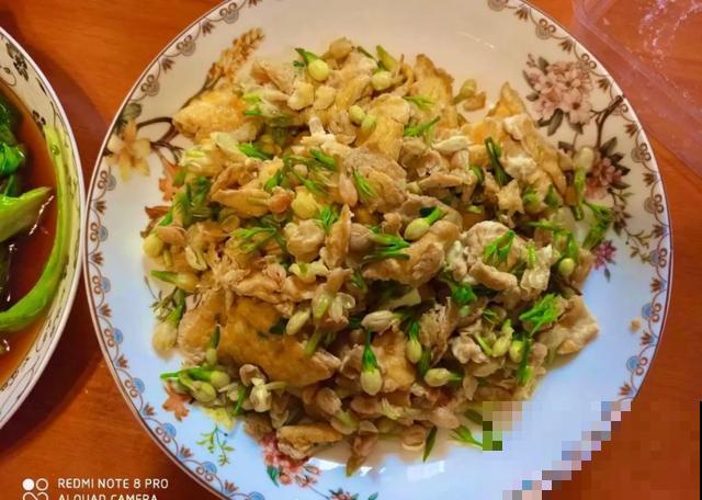 玉兰花真好吃，掐一把炒鸡蛋，竟然满嘴鸡肉味