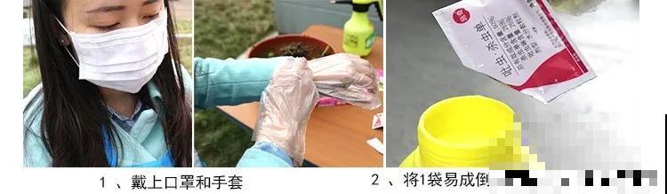 花盆旁边飞虫子，赶紧用药杀，现在用刚刚好