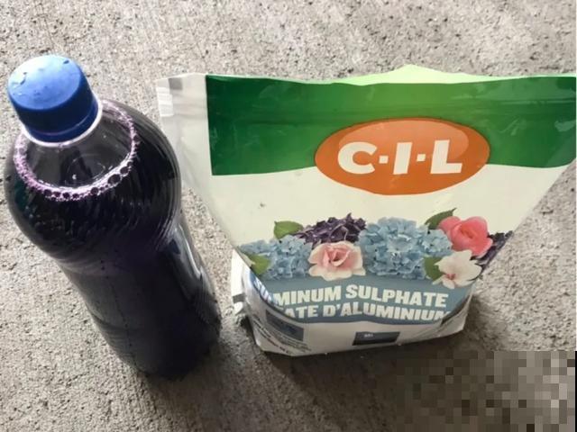 春天给花埋点它，就不用换盆了，保证土肥得流油！