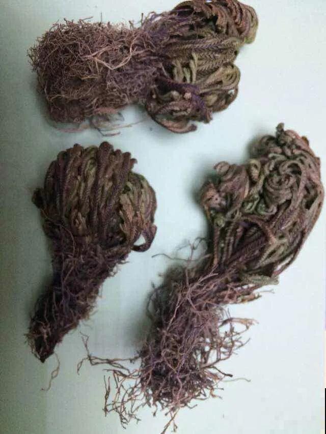 春天买花要注意，6种花千万别买，都是骗人的！