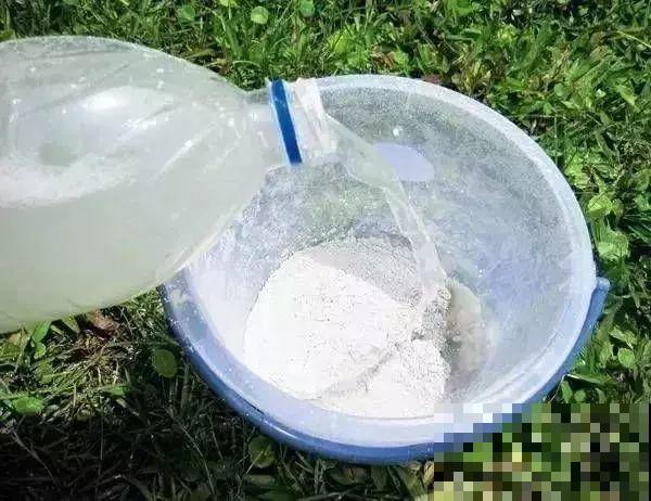 给花喷点杀菌水，虫子全杀死，杀菌消毒叶子绿！