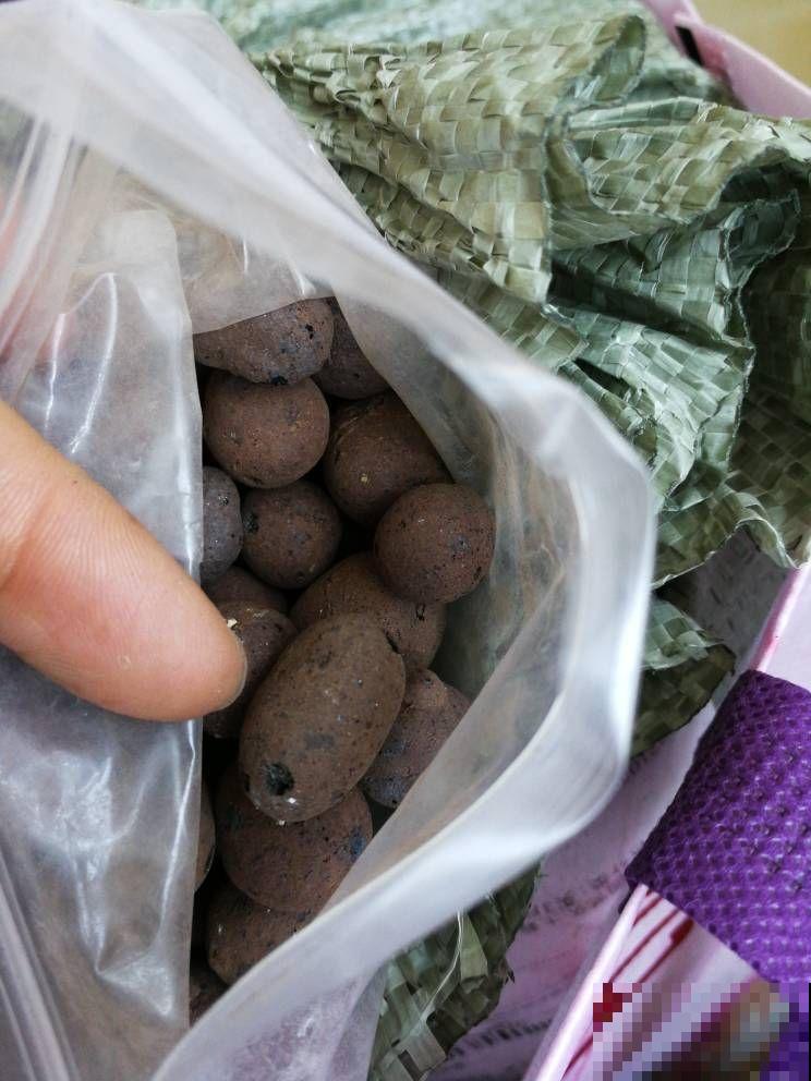 春天换盆不可少，如果少了这玩意垫盆底，那真的白换了！