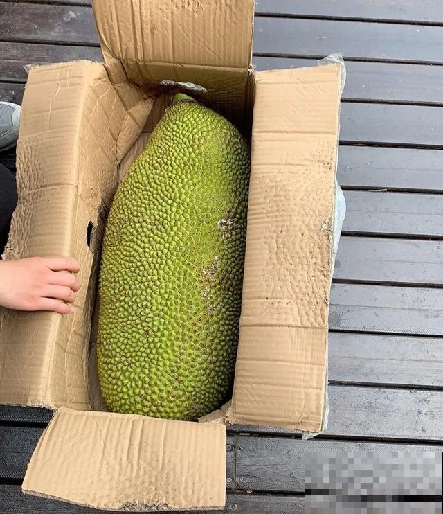 6种植物不按套路生长？你吃的水果，就是这么长出来的！