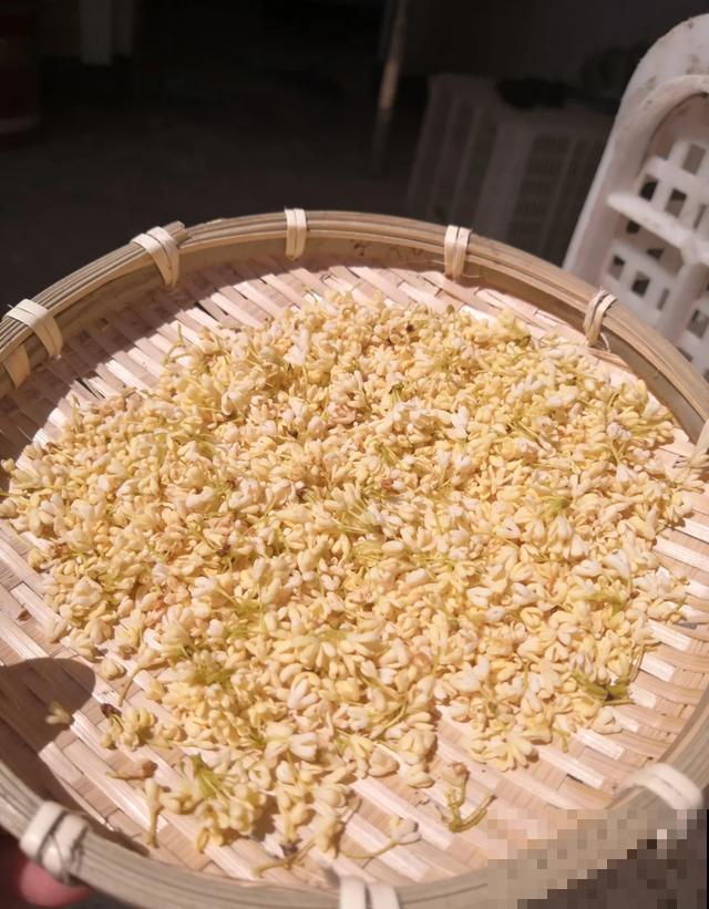 玉兰花真好吃，掐一把炒鸡蛋，竟然满嘴鸡肉味