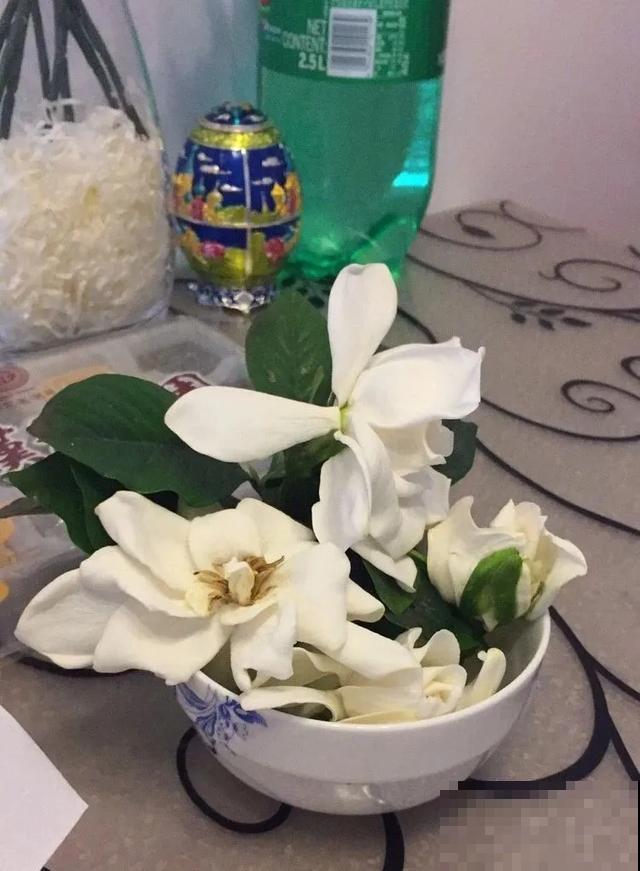 玉兰花真好吃，掐一把炒鸡蛋，竟然满嘴鸡肉味