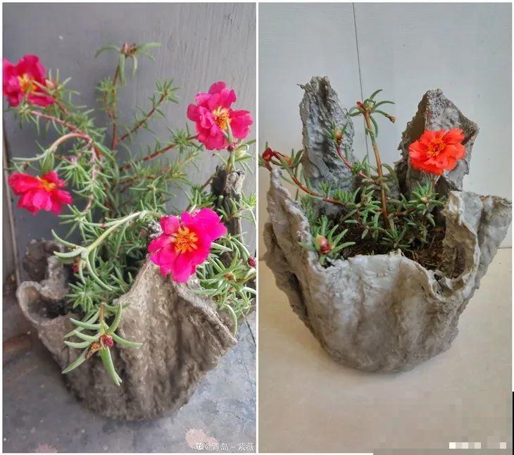 养花从不买花盆，都是这些东西做的！