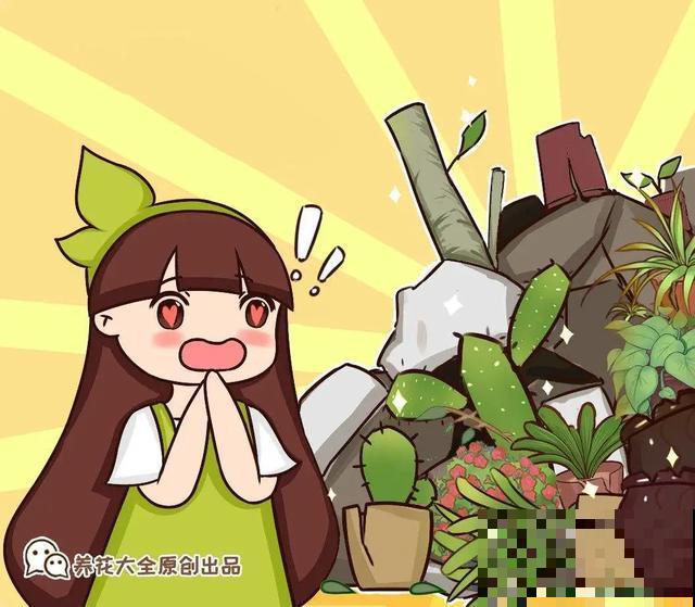路边捡点它，肥土全搞定，再也不用花钱买