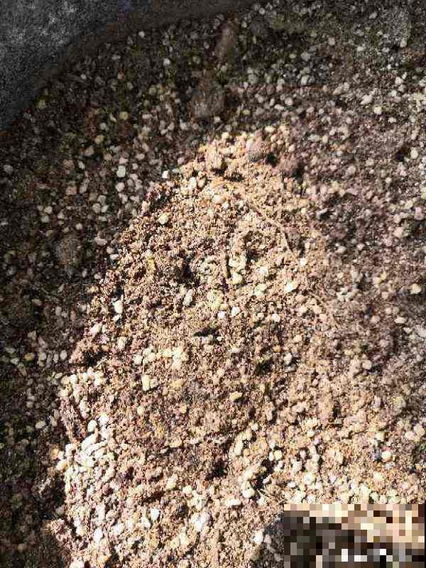 想要养好花，3个方面要注意，不然花都死翘翘