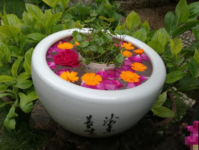 他用3年时间，把农村的小院子，改造成四季开花的花园！
