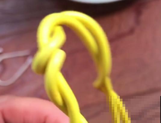 三角梅新养法，找根铁丝绑一绑，变成一个大花篮！