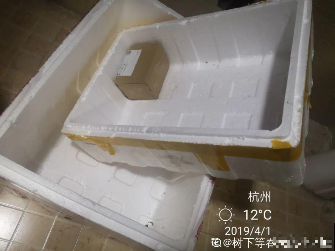1把核桃垫盆底，不烂根、不招虫，疯长停不下来！