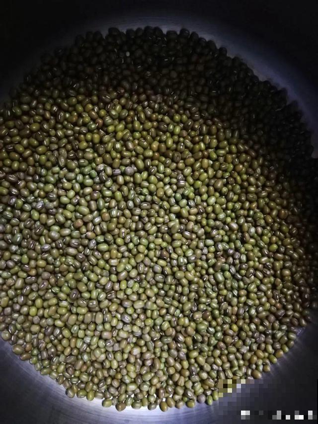 1个塑料瓶，居然有8种养花方法，省钱又好用！