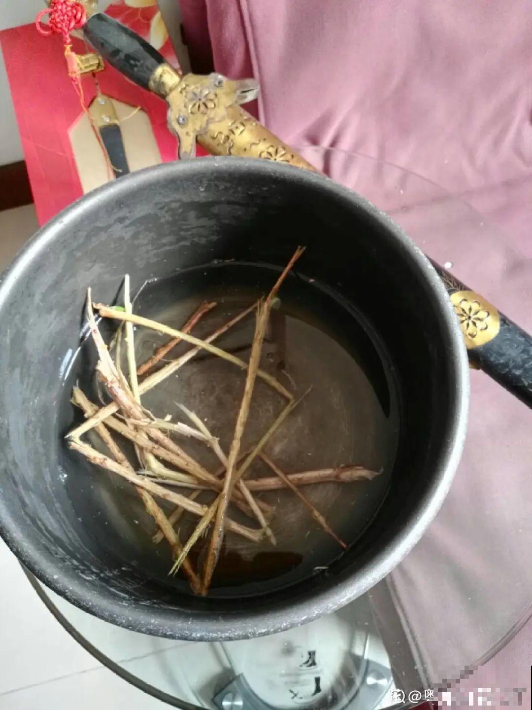 1把核桃垫盆底，不烂根、不招虫，疯长停不下来！