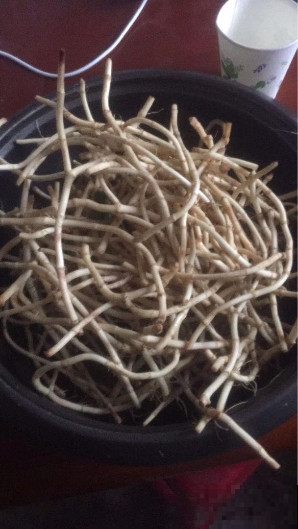 6种农村常见野草，小时候天天见，没想到药用价值如此高