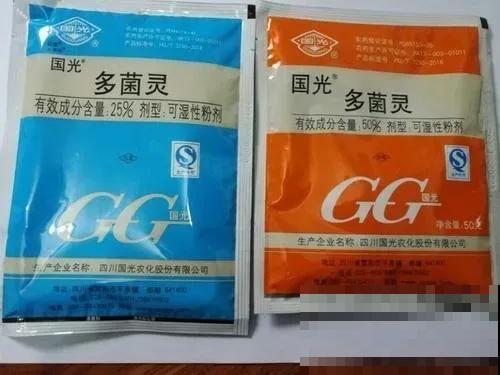 花盆旁边飞虫子，赶紧用药杀，现在用刚刚好