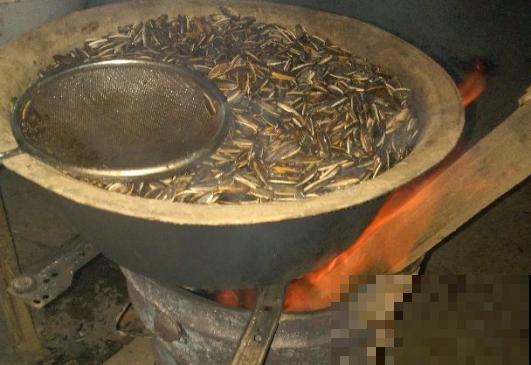 花盆里垫上一样小东西，可以预防烂根，咋浇水都没事！